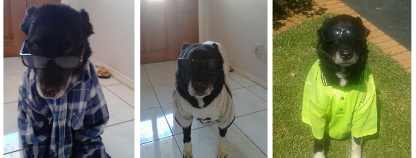 Buddy dress ups
